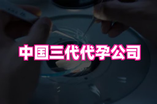 贵州助孕网站 2