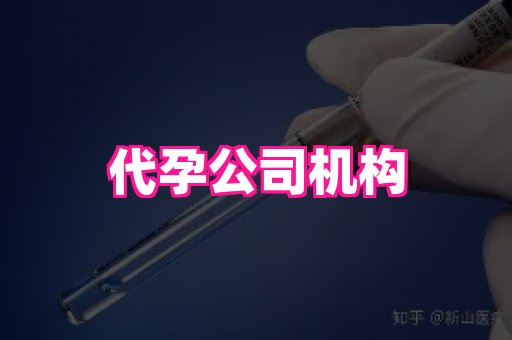 贵州助孕网站 3